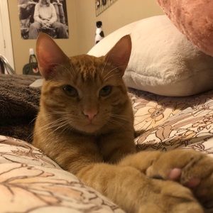 Meet your Posher, Valeria